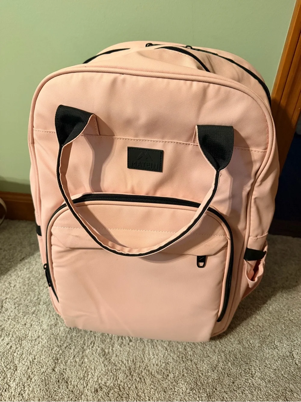 Pink Travel Backpack - or school bag